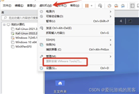 关于vmware tools安装后与主机之间不能复制粘贴问题解决方案