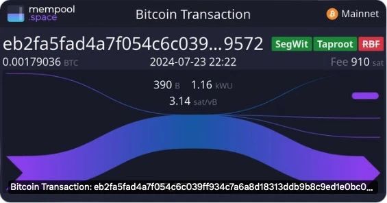 fractal、op_net、avm、brc100、可编程符文，btc 还有哪些扩展方案？