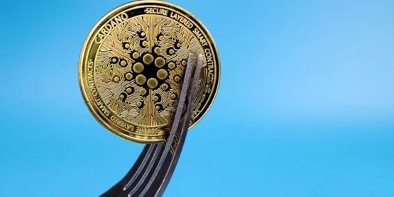 老牌公链cardano转向去中心化治理：启动chang硬分叉升级