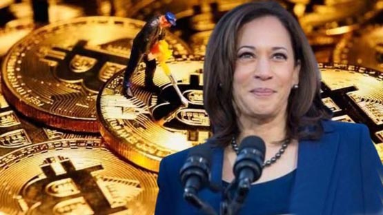 哈里斯不理比特币矿企要求！marathon digital ceo：考虑加速撤离美国