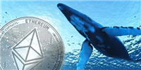 逃顶大师以太坊基金会又出货!将3.5万枚ETH转往交易所Kraken