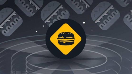 burger是什么币种？一文了解burger币发展前景