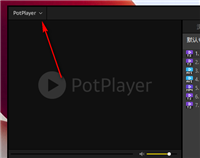 PotPlayer如何将波形音量设为最大值 PotPlayer系统波形音量设为最大值方法