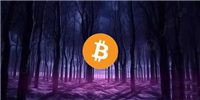 Polygon高管:90%公链BD都会索要分红空投!EigenLayer非个例