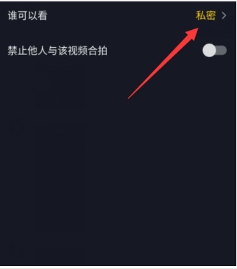 抖音发作品别人看不见怎么回事?是什么原因被屏蔽?