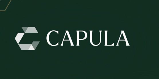 欧洲第4大避险基金capula报告持有4.64亿美元比特币现货etf