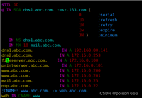 Linux中配置DNS正向解析