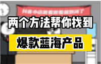 蓝海产品有哪些?选品有什么技巧?
