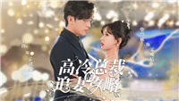 高冷总裁的追妻攻略短剧免费观看_在线全集一口气看完