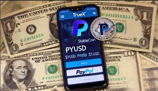 前coinbase高管推出新交易所truex!主打paypal稳定币pyusd交易对