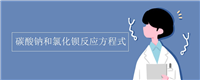 碳酸钠和氯化钡反应方程式