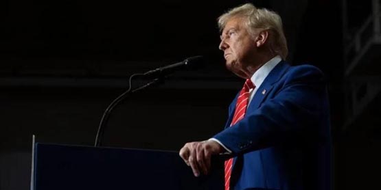 特朗普略输哈里斯！相关meme币trump、maga、fight大跌