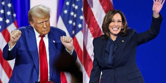美国大选首场辩论特朗普、哈里斯未提加密货币！meme币trump、kama等齐跌