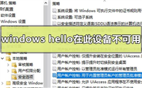 Windows hello在此设备上不可用咋办? win11不支持windows hello解决办法