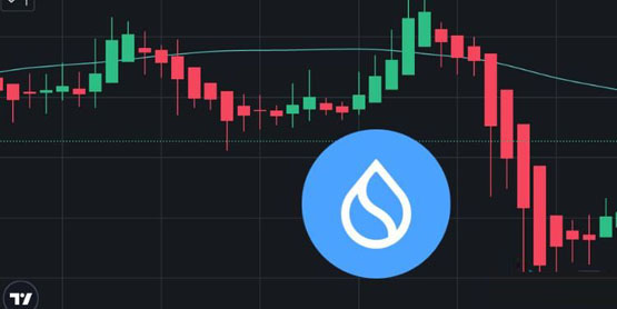 传sui开始倒货、比特币拉涨期间逆势下跌！基金会：没有抛售