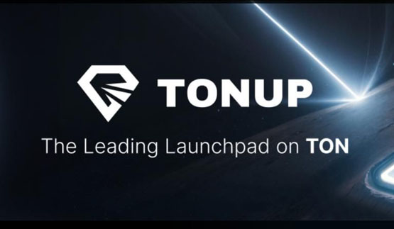 明星级launchpad平台tonup高点下跌99%！ton走向灭亡？