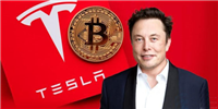 特斯拉转移1.15万枚比特币至新钱包地址！马斯克要卖币？