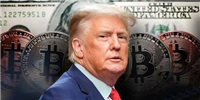 特朗普胜选比特币不会涨？经济顾问：他不会让美元贬值