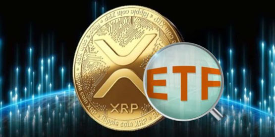 分析师：bitwise的瑞波现货etf通过审查机率近乎零！sec再上诉xrp大跌10%
