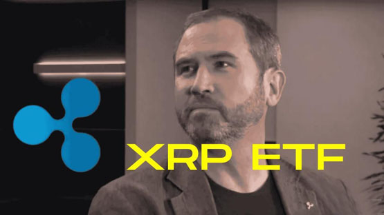 bitwise提交xrp etf申请！彭博分析师：像trump call一样廉价