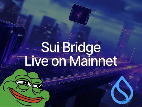 sui官方跨链桥上线！其defi生态日趋成熟