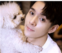 李佳琦为什么不直播了？背后的真相是什么？