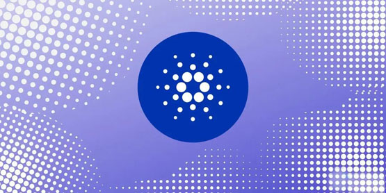 社群对cardano稳定币不满！创始人：基金会要负责 正推进稳定币djed