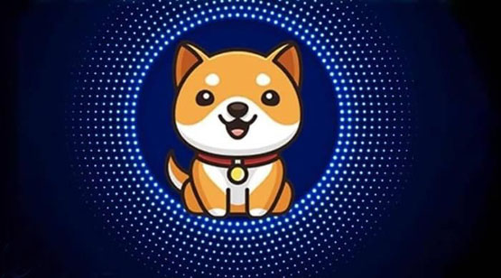 babydoge币能超越shib币吗？