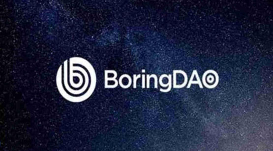 boring币官方有在运营吗？boring币的未来发展趋势分析