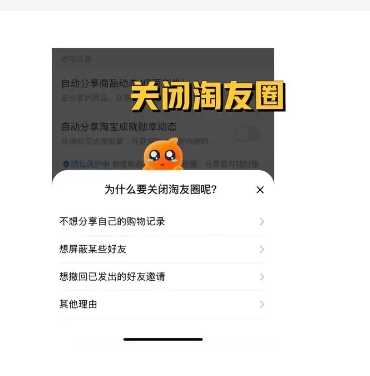 淘友圈怎么分享买过的宝贝？可以看好友购买记录吗？