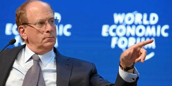 贝莱德ceo larry fink：比特币是对抗货币贬值和不稳定性的避险资产