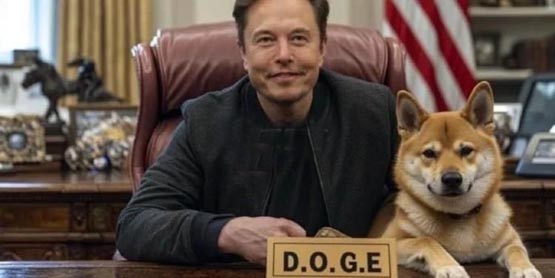 马斯克喊区块链治国、传doge与多家公链接触！赵长鹏：所有开支都该上链